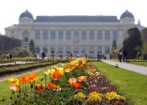 Parigi-jardin-des-plantes